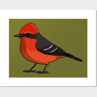 Vermillion Flycatcher Posters and Art